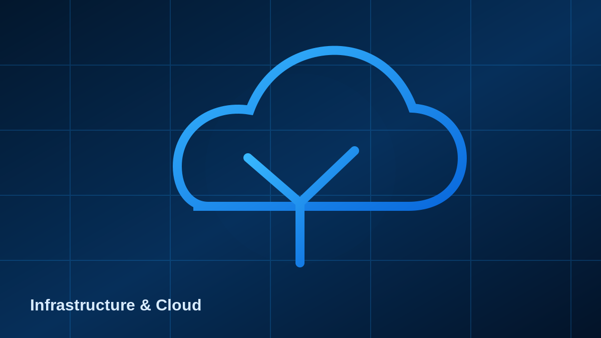 Infrastructure & Cloud illustration